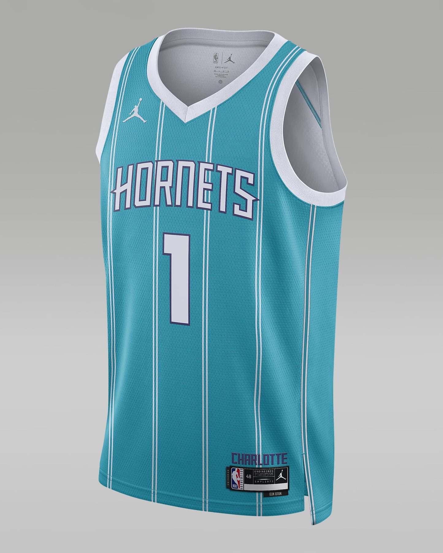 Charlotte Hornets Icon Edition – Champion Gearz